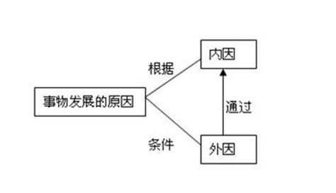 外在因素|到底是外因决定内因，还是内因决定外因？